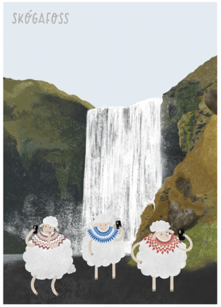 sheep by waterfall in iceland 