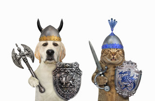Icelandic pet accessories collection featuring puffin dog bandanas, Viking toys, collars and gifts for dogs from Iceland