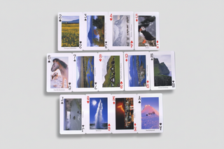 Set of playing cards with nature-themed artwork on a white background
