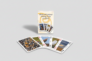 Bird-themed playing cards with a box labeled 'Birds of Iceland Playing Cards' on a white background