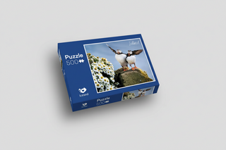 Puzzle box with puffins on a rock and flowers, featuring the brand 'Iceland'.