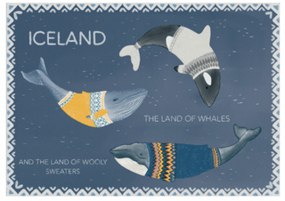 Illustration of whales wearing sweaters with text about Iceland on a blue background