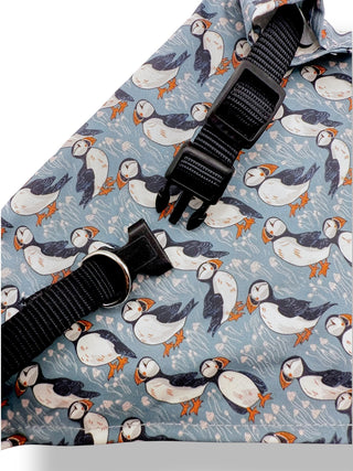 Icelandic Dog Bandana with Collar Puffins Pattern - Store Exclusive