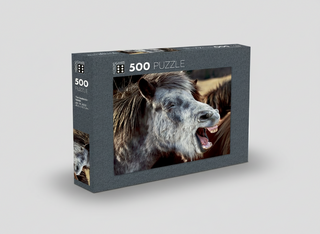 500-Piece Puzzle – Icelandic Horse