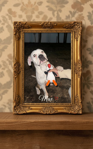 Puffin Dog Toy, Store Exclusive