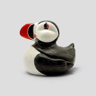 Puffin-shaped rubber duck on a white background