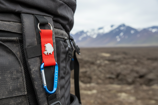 Keychain with blue carabiner and red strap featuring a logo on a white background