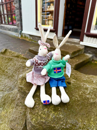 Two plush toy bunnies wearing clothing on a stone surface with a building in the background.