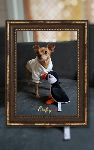 Puffin Dog Toy, Store Exclusive