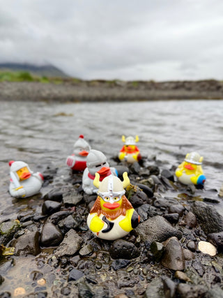 Mini Knight Rubber Duck