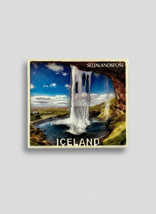 Wooden 3D Magnet, Store Exclusive