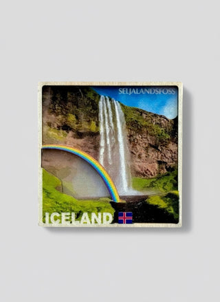 Wooden 3D Magnet, Store Exclusive