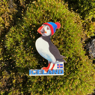 Puffin wearing a colorful hat with 'Iceland' text and flag on a white background