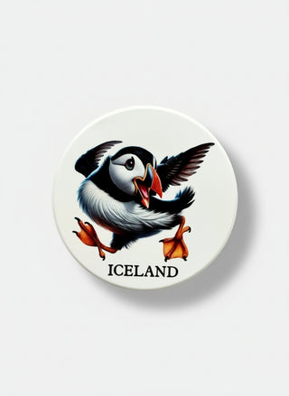 Round Ceramic Magnet