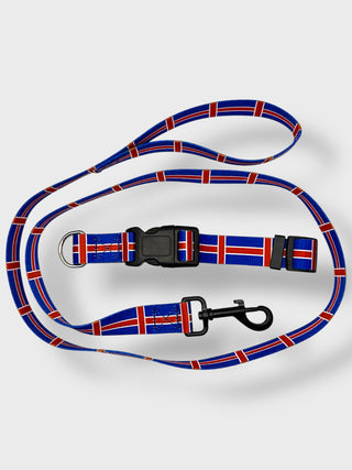 Icelandic Dog Collar & Leash Set - Store Exclusive