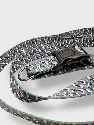 Icelandic Dog Collar & Leash Set, Store Exclusive