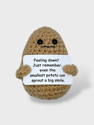 Positive Potato Magnet