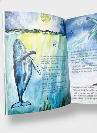 Little Fluffy’s Journey: Chasing the Northern Lights Book