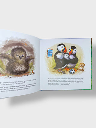 Open book showing illustrations of a Icelandic puffin and two puffins on a white background