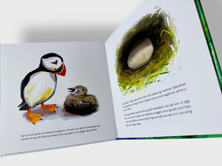 Open book with illustrations of a penguin and its nest