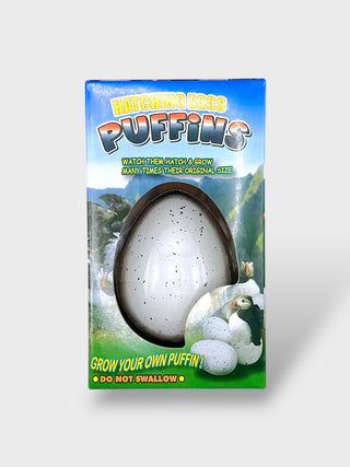 Grow Your Own Puffin  Hatching Egg