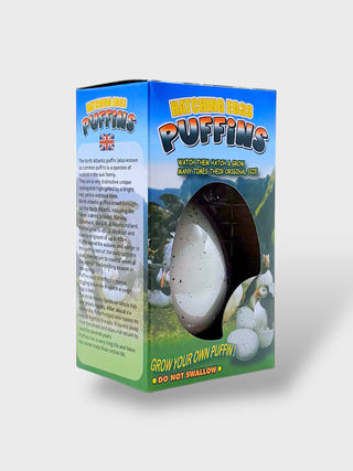 Grow Your Own Puffin  Hatching Egg