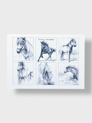 Set of six black and white horse illustrations on a white background