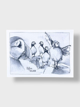 Illustration of puffins with a fish, labeled 'Puffins Iceland', on a white background.