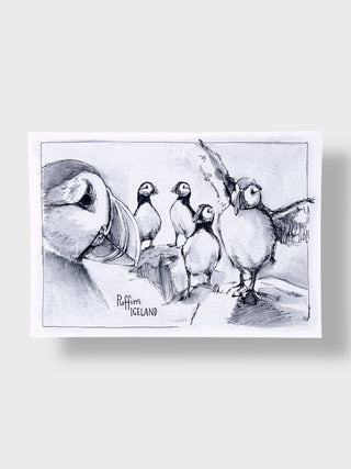 Puffins Iceland Postcard – Hand-Drawn Illustration | A6 Jana Tomanová