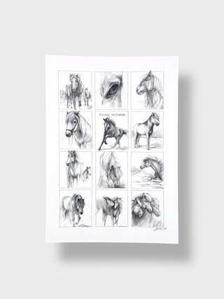 Icelandic Horse Illustrated Postcard – Hand-Drawn by Jana Tomanova
