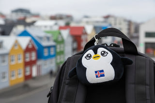 Plush puffin  keychain with Iceland flag on a white background