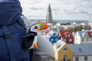 Person holding a plush puffin toy with Reykjavik cityscape in the background