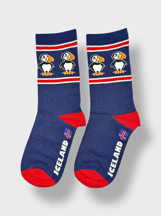 Iceland Puffin Stripe Socks