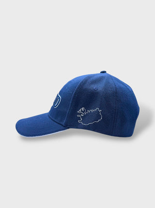 Blue cap with a logo on a light gray background