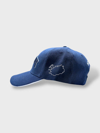 Blue cap with embroidered design on a light gray background