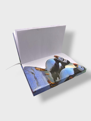 Open book with a cat illustration on a white background