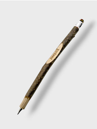 Pencil with a textured brown body and gold accents on a white background