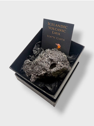 Icelandic volcanic lava rock in a black box with a label on a white background