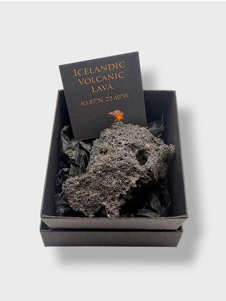 Icelandic volcanic lava rock in a box with a label on a light gray background