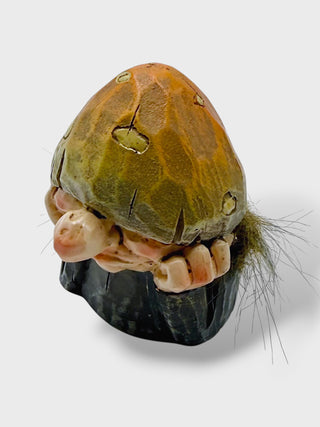 A novelty collectible taxidermy sculpture of a hermit crab inside a small black shell, featuring a realistic brown and green shell, pale pink claws, and dark brown bristles, set against a plain light gray background.